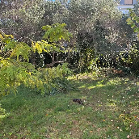 4 Bedroom Lovely In Apartment *