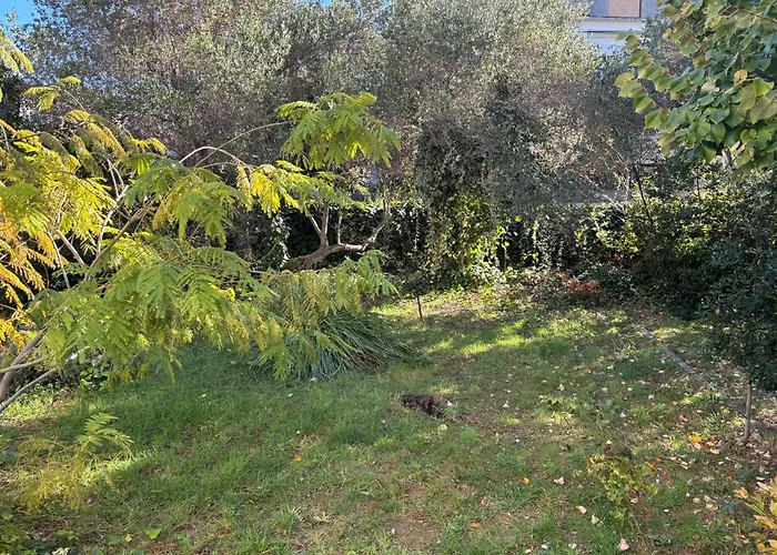 Amazing In With Wifi Lägenhet *